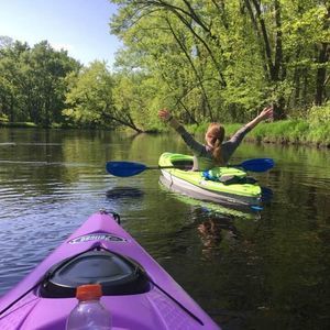 Meet your Posher, Bailey